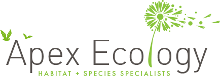 Apex Ecology Logo